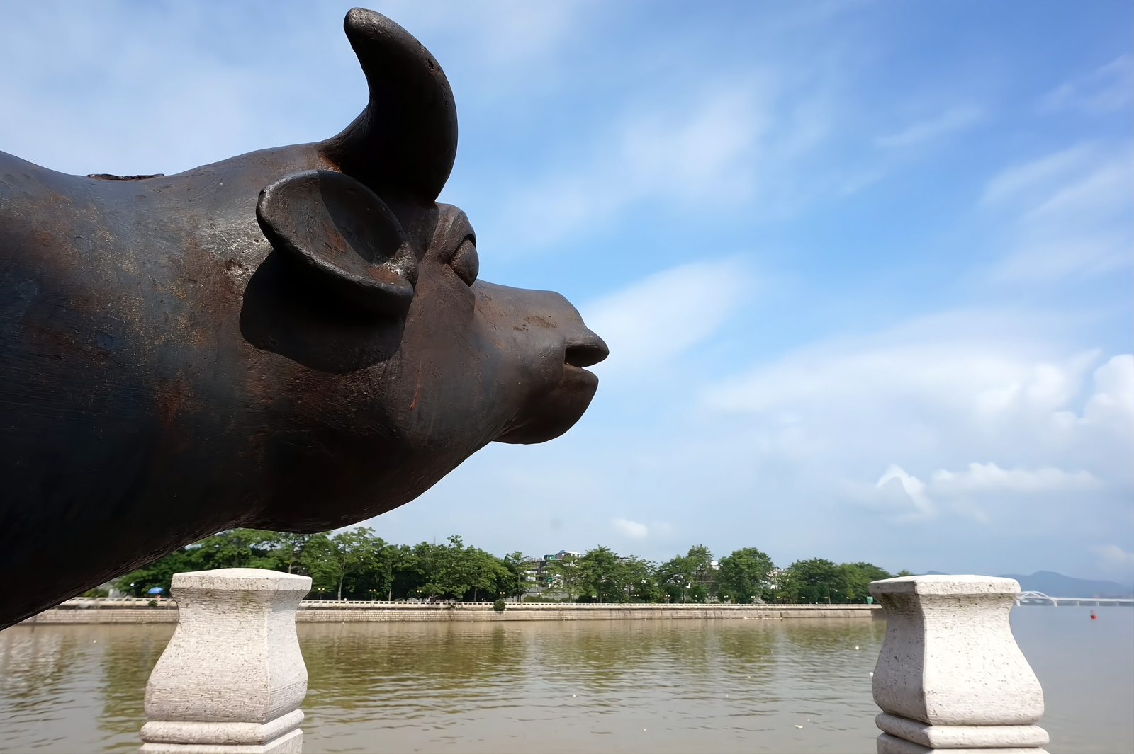 A cast iron ox standing on a stone pier of Guangji Bridge, seen close from behind with the river beyond
