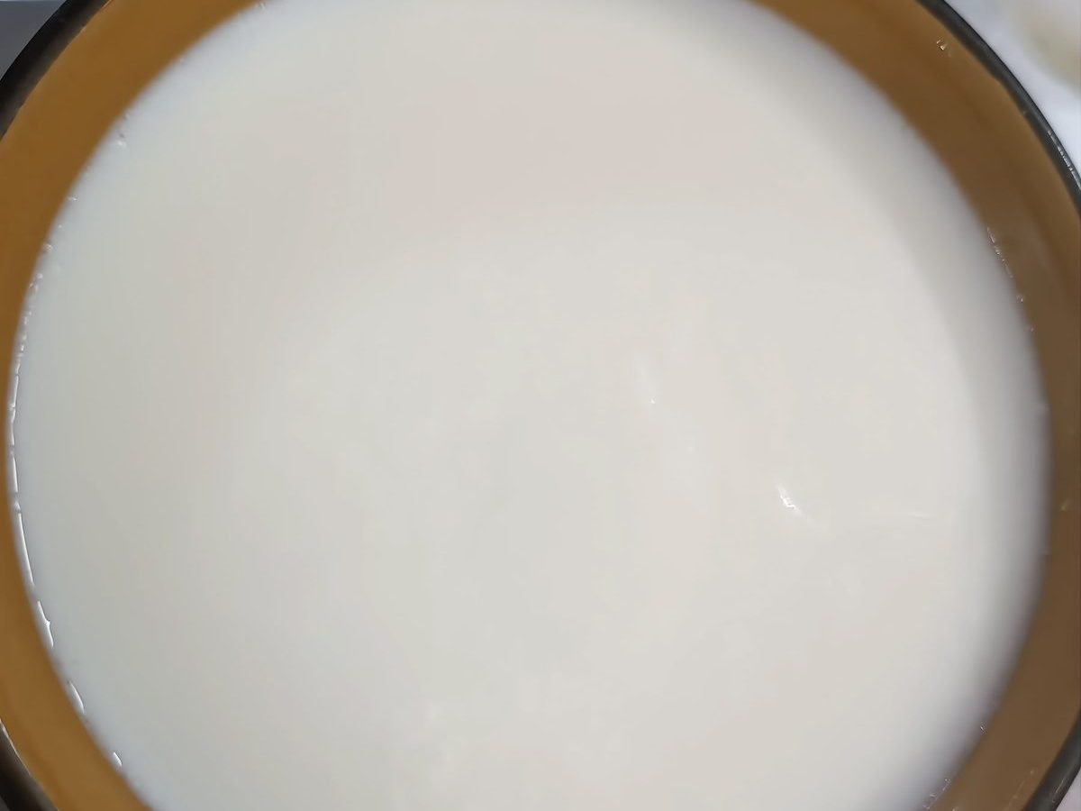 A bowl of set ginger milk curd with a smooth pale surface, photographed from above