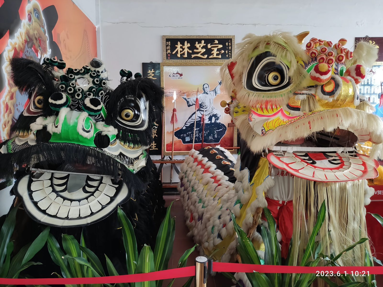 A display of lion dance heads in the Wong Fei-hung memorial museum on Xiqiao Mountain: black, gold and red heads with painted faces and mirror-bright eyes, mounted in a case